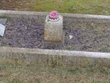 image of grave number 795109